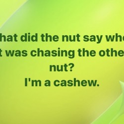 What Did The Nut Say