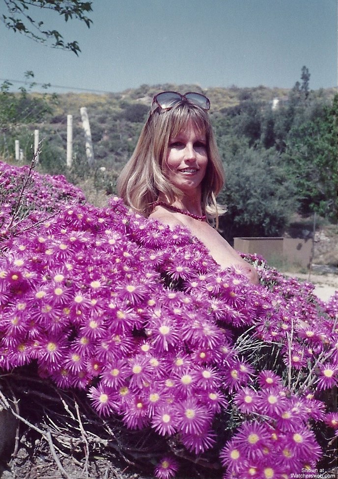 K At Olive Dell In CA #8